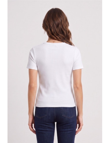 Beverly Hills Polo Club t-shirt in maglia di cotone TS550063 [d5db9a76]