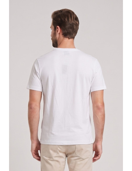 Beverly Hills Polo Club t-shirt in jersey di cotone TS450044 [f622b6cc]