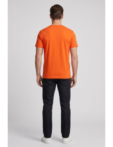 Beverly Hills Polo Club t-shirt in jersey di cotone TS450053 [133b9162]