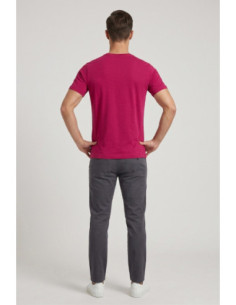 Beverly Hills Polo Club t-shirt in cotone con stampa frontale TS450036 [ec91cfe0] 2