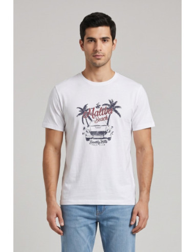 Beverly Hills Polo Club t-shirt in jersey di cotone TS450038 [0b8d0659]
